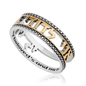 Bague Ani LeDodi en argent et plaqué or