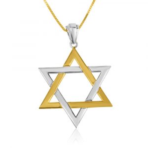 Pendentif Maguen David Argent et Plaqué Or