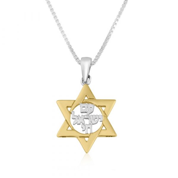 450P-3796-GSL Pendentif Maguen David en Plaqué Or Am Israël haï