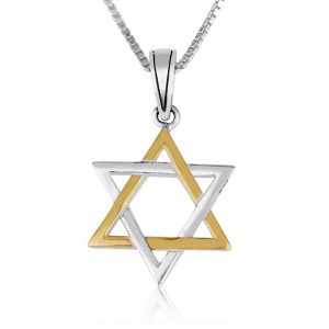 Pendentif Maguen David Plaqué Or et Argent